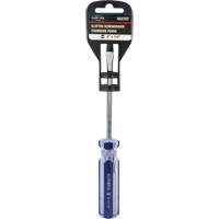 Blue Transparent Striped Slotted Screwdriver, 1/4" Tip, Round, Plastic Handle CSL Industriel Inc.