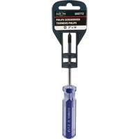 Blue Transparent Striped Philips Screwdriver, #1, Plastic Handle CSL Industriel Inc.