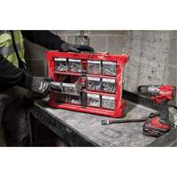 PACKOUT Tilt Bin Organizer, 15-1/5" x 19-7/10" x 6-7/10", Black/Red CSL Industriel Inc.