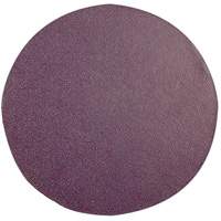 Replacement Sanding Pad, 6" Dia. CSL Industriel Inc.
