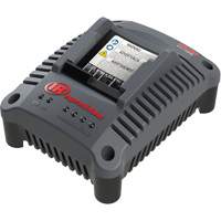 IQV20 Compact Battery Charger, 20 V, Lithium-Ion CSL Industriel Inc.