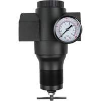 Aluminum Regulator, 1-1/2" NPT, 300 psi Max. PSI, In Line CSL Industriel Inc.