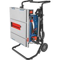 Jobsite Table Saw with Gravity-Rise Wheeled Stand, 120 V, 15 A, 3800 RPM CSL Industriel Inc.