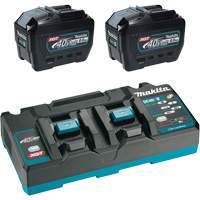 Ensemble de d&eacute;part XGT avec chargeur rapide &agrave; deux ports et deux batteries de 8?Ah, 40 V, Lithium-ion CSL Industriel Inc.