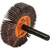 Flap Wheels-Coolcut Flap Wheels, Aluminum Oxide, 80 Grit, 2" x 3/8" x 1/4" CSL Industriel Inc.