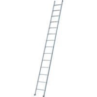 Industrial Heavy-Duty Extension/Straight Ladders, 8', Aluminum, 300 lbs., CSA Grade 1A CSL Industriel Inc.