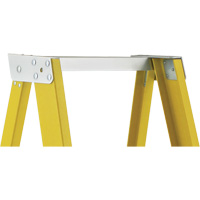 Industrial Heavy-Duty Platform Stepladders (6500 Series), 6', 300 lbs. Cap. CSL Industriel Inc.