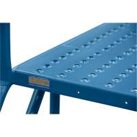 Crossover Ladder, 35-1/2" Overall Span, 31-1/2" H x 22" D, 22" Step Width CSL Industriel Inc.