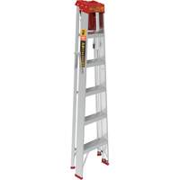 Step Ladder with Paint Tray, 6', Aluminum, 200 lbs. Capacity, Type 3 CSL Industriel Inc.