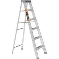 Step Ladder, 6', Aluminum, 225 lbs. Capacity, Type 2 CSL Industriel Inc.