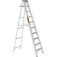 Step Ladder with Paint Tray, 10', Aluminum, 225 lbs. Capacity, Type 2 CSL Industriel Inc.