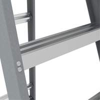 Step Ladder with Paint Tray, 6', Fibreglass, 225 lbs. Capacity, Type 2 CSL Industriel Inc.