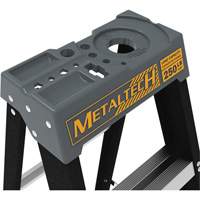 Step Ladder with Paint Tray, 10', Fibreglass, 250 lbs. Capacity, Type 1 CSL Industriel Inc.