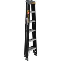 Step Ladder, 6', Fibreglass, 250 lbs. Capacity, Type 1 CSL Industriel Inc.