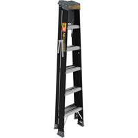 Step Ladder with Paint Tray, 6', Fibreglass, 250 lbs. Capacity, Type 1 CSL Industriel Inc.