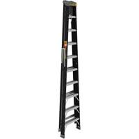 Step Ladder with Paint Tray, 10', Fibreglass, 250 lbs. Capacity, Type 1 CSL Industriel Inc.