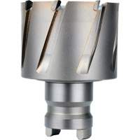 Fraise avec tenon &agrave; changement rapide Drive Hawg, Diam&egrave;tre de 2", Acier, Profondeur de la coupe de 1" CSL Industriel Inc.
