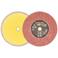 QUICK-STEP FLEX, 5" x Type 29, 40 Grit, Aluminum Oxide CSL Industriel Inc.