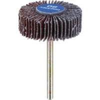 3/8" Flapwheel Sanding Bit - 80 Grit CSL Industriel Inc.