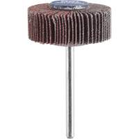 3/8" Flapwheel Sanding Bit - 120 Grit CSL Industriel Inc.