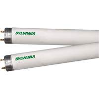 Lampes fluorescentes, 32 W, T8, 4100 K, Longueur de 48" CSL Industriel Inc.
