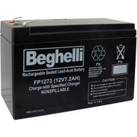 Sealed Lead Acid Batteries, 12 V, 7.2 Ah CSL Industriel Inc.