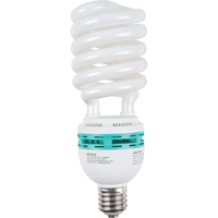 Bulbs