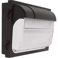 TWX Wall Luminaire, LED, 480 V, 9 W - 54 W, 14" H x 18" W x 5" D CSL Industriel Inc.