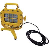 Explosion Proof Floodlight with Stand, LED, 40 W, 5600 Lumens, Aluminum Housing CSL Industriel Inc.
