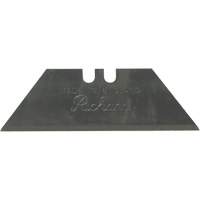 Replacement Blade, Single Style CSL Industriel Inc.